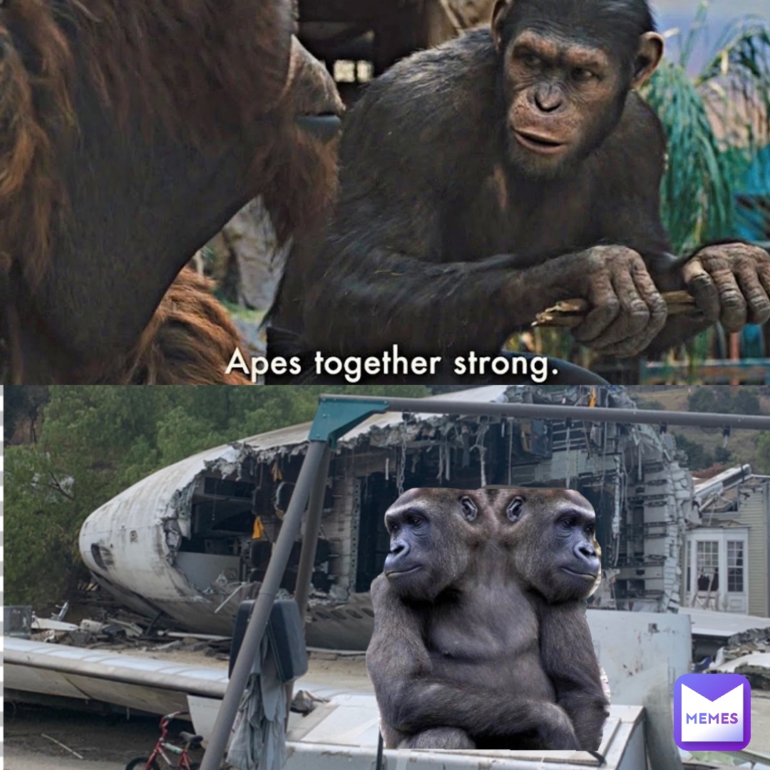 Detail Apes Together Strong Meme Nomer 53