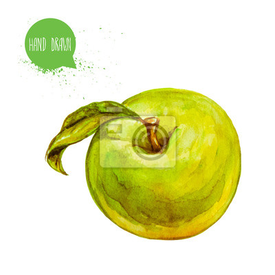 Detail Apfel Gemalt Nomer 14