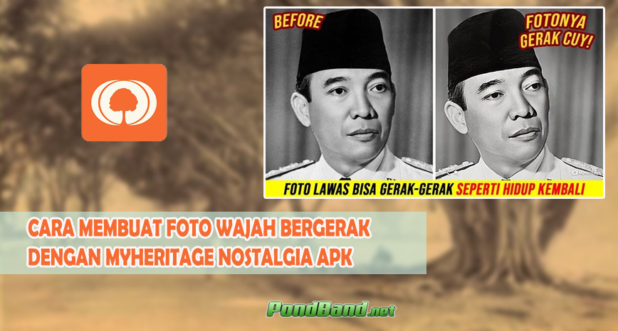 Detail Apk Foto Bergerak Nomer 8