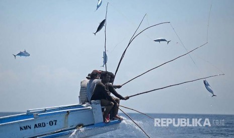 Detail Aplikasi Memancing Di Laut Nomer 13