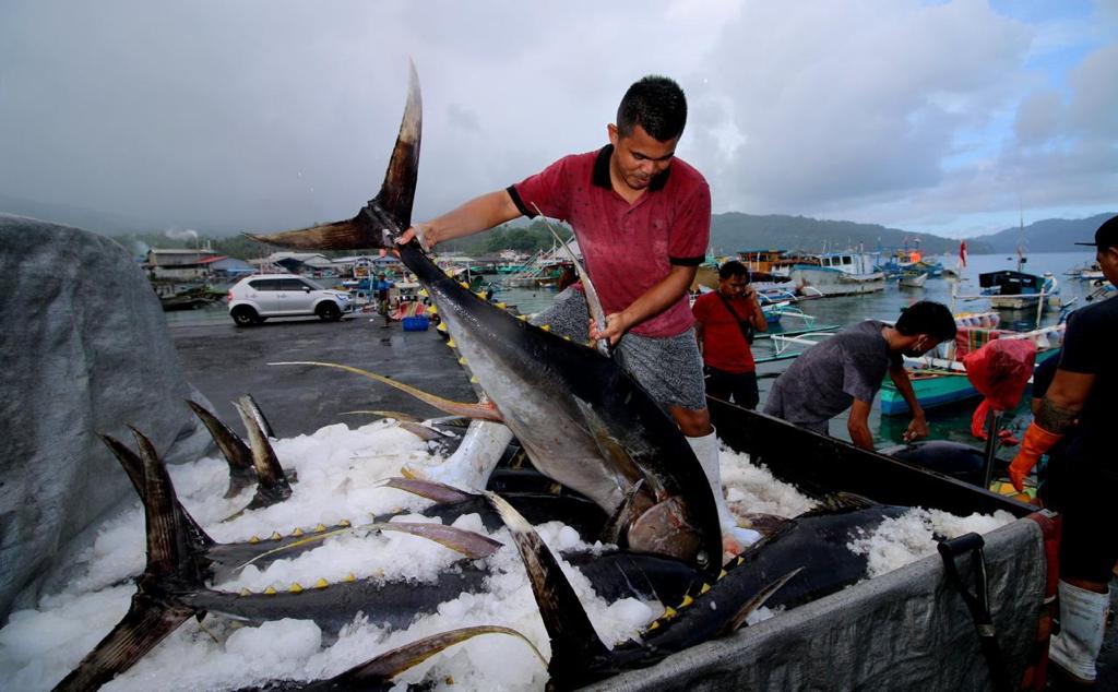 Detail Aplikasi Memancing Di Laut Nomer 48