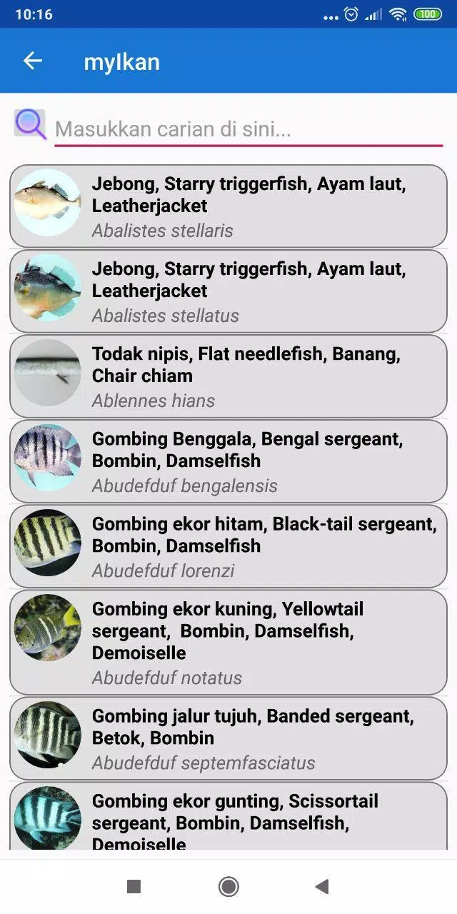Detail Aplikasi Memancing Di Laut Nomer 50