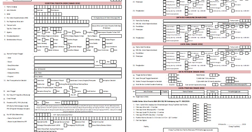 Detail Aplikasi Ppdb Excel 2019 Nomer 46