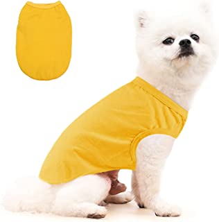 Detail Die Mit Dem Gelben Hund Werbung Nomer 15