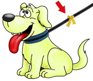Detail Die Mit Dem Gelben Hund Werbung Nomer 7