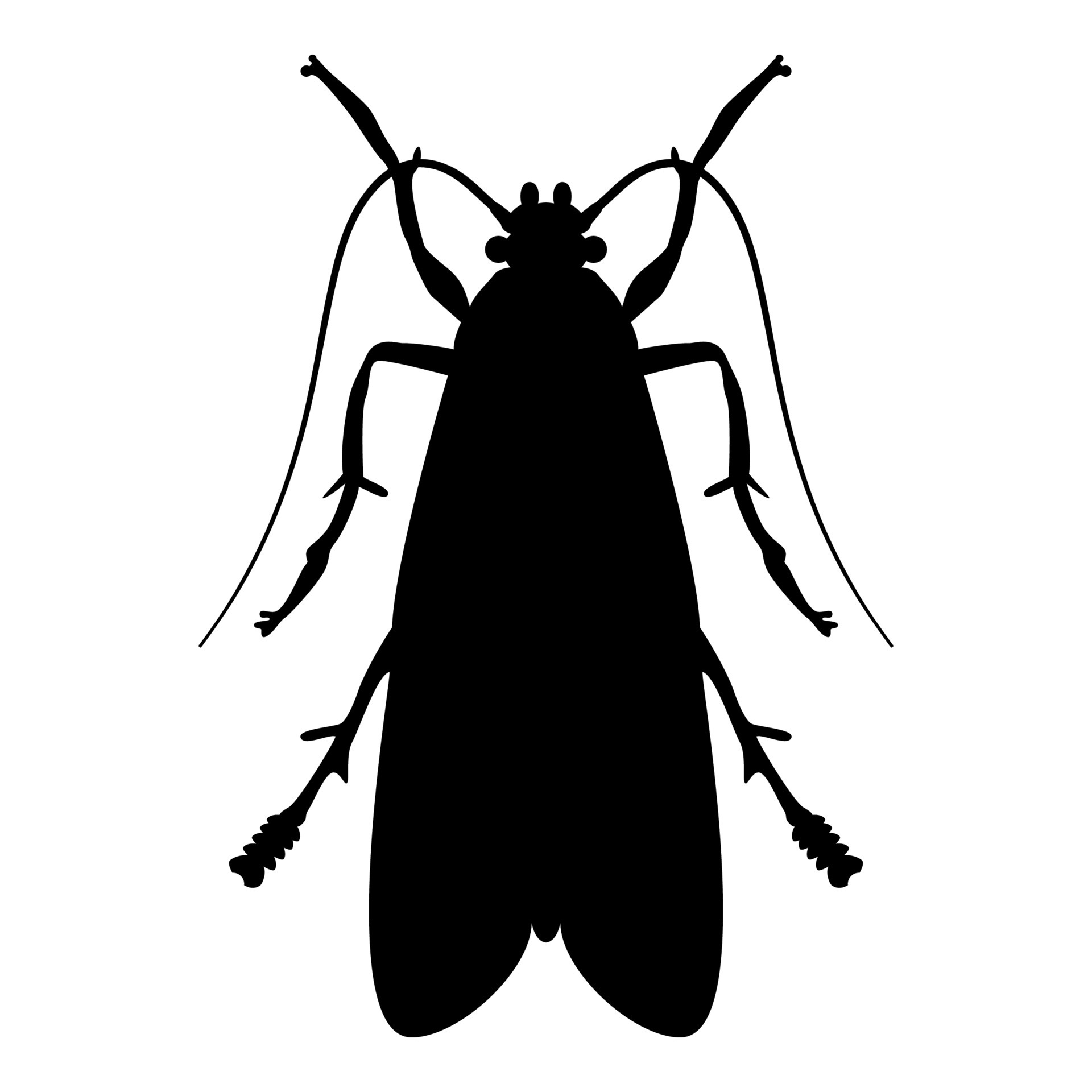Detail Fliege Insekt Nomer 17
