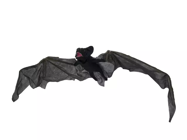 Detail Fliegende Fledermaus Nomer 5