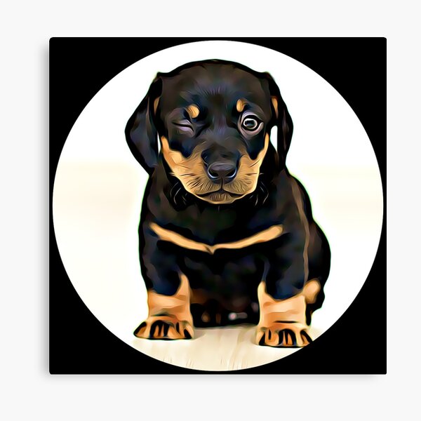 Rottweiler Lustig - KibrisPDR