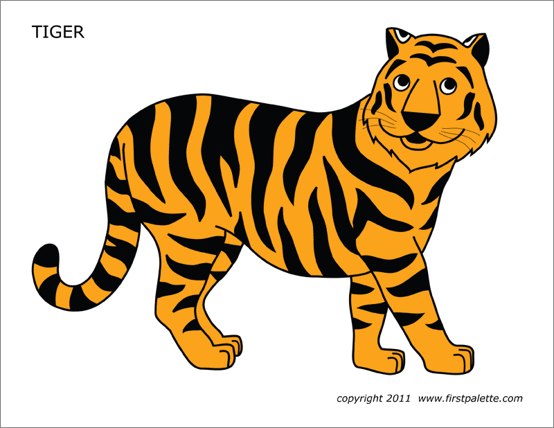 Detail Tiger Vorlage Nomer 8