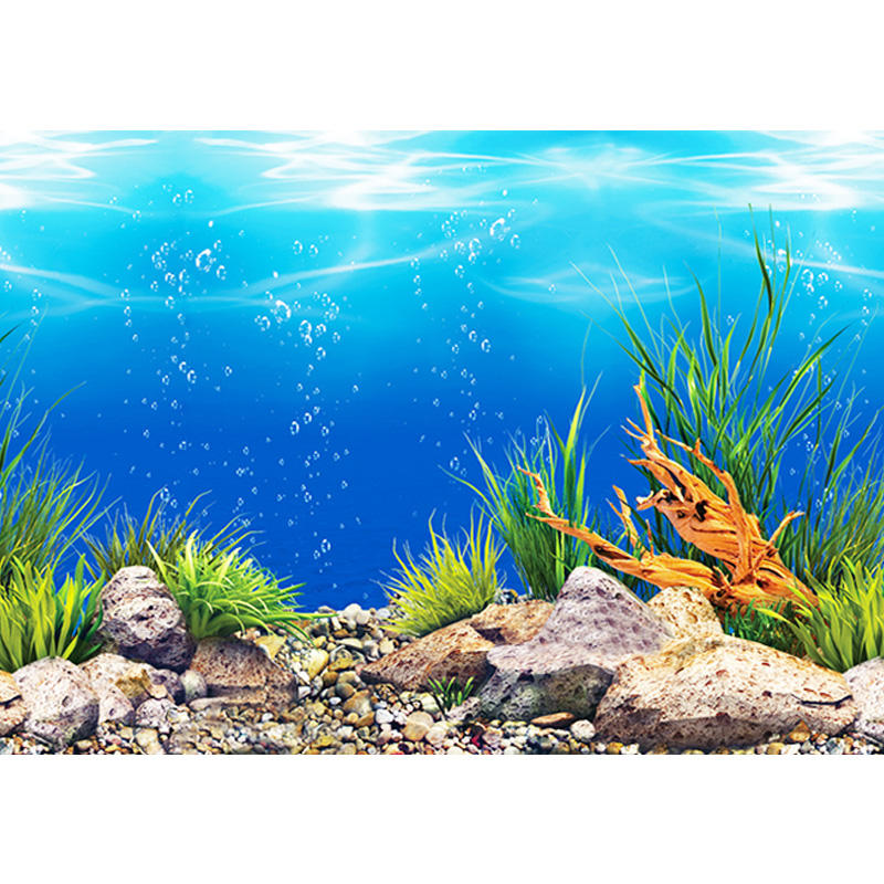 Aquarium Hintergrundbild - KibrisPDR