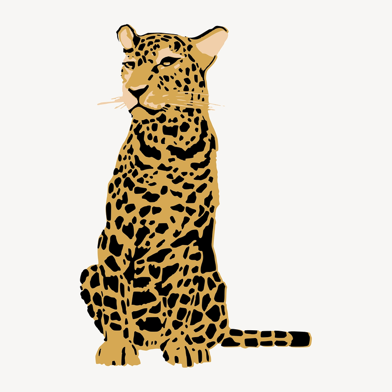 Detail Bilder Leopard Nomer 5
