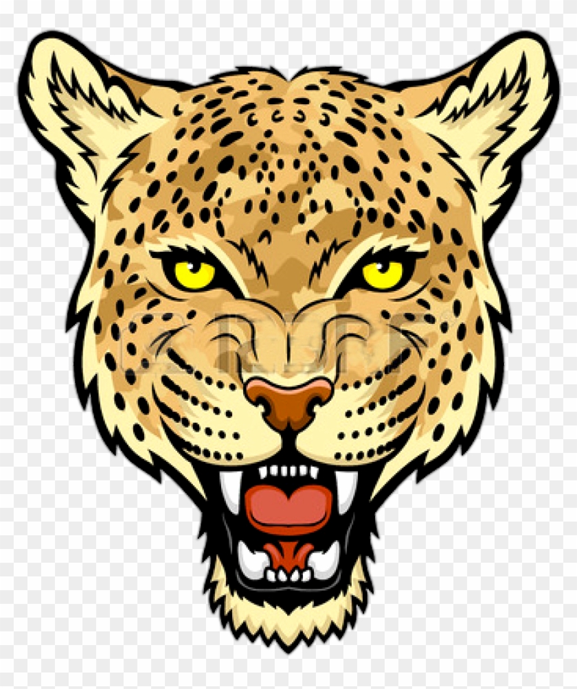 Detail Bilder Leopard Nomer 6
