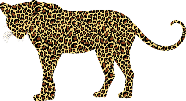 Detail Bilder Leopard Nomer 9