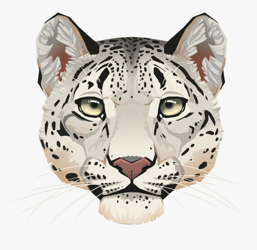 Detail Bilder Leopard Nomer 10