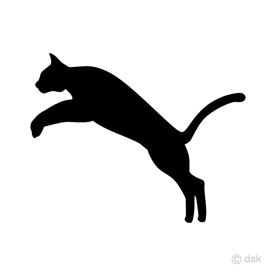 Cat Jumping - KibrisPDR