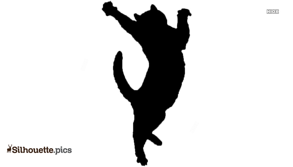 Detail Cat Jumping Nomer 14