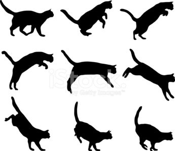 Detail Cat Jumping Nomer 2