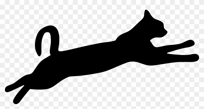 Detail Cat Jumping Nomer 3