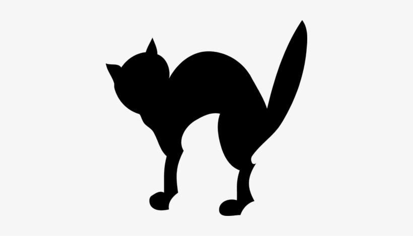 Detail Cat Jumping Nomer 24