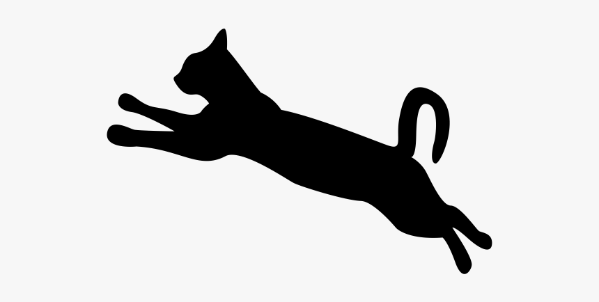 Detail Cat Jumping Nomer 4