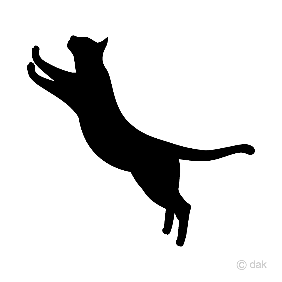 Detail Cat Jumping Nomer 9