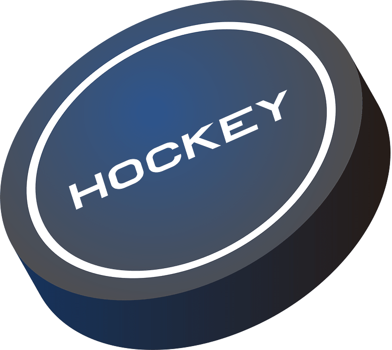 Detail Eishockey Puck Nomer 5