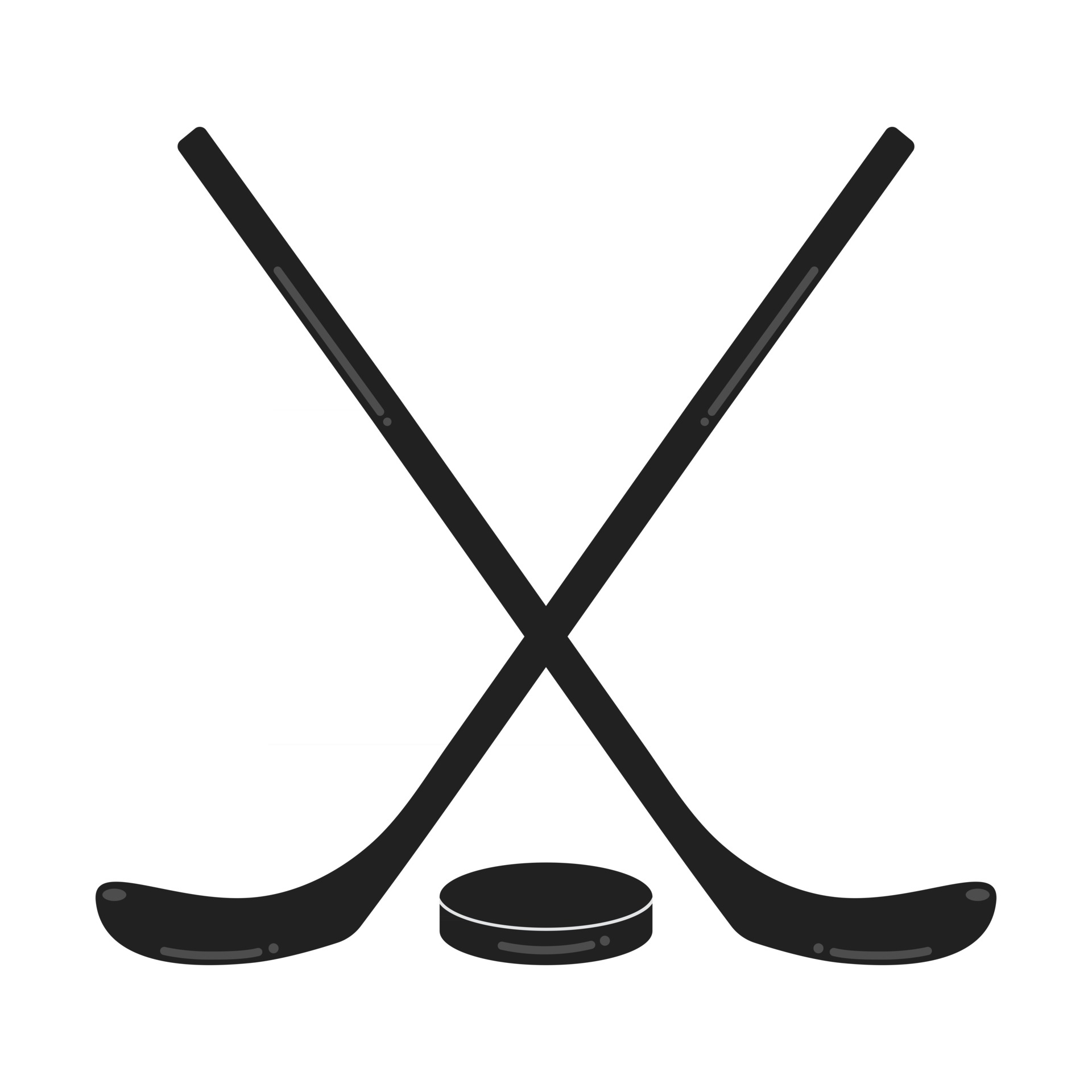 Detail Eishockey Puck Nomer 6