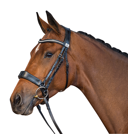 Fairfax Performance Bridle - KibrisPDR