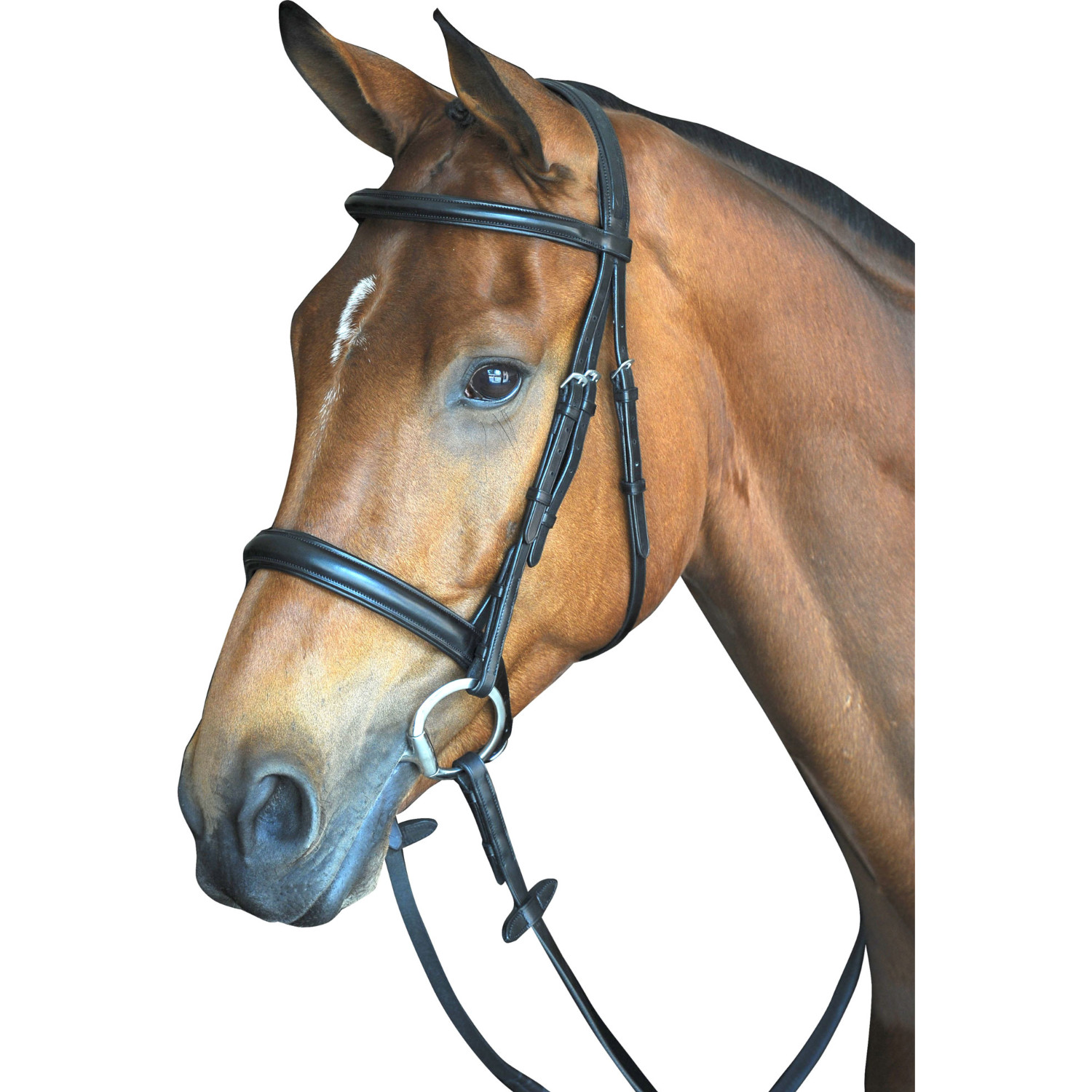 Detail Fairfax Performance Bridle Nomer 23