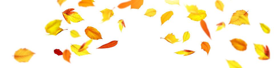 Detail Goldener Herbst Bilder Nomer 16