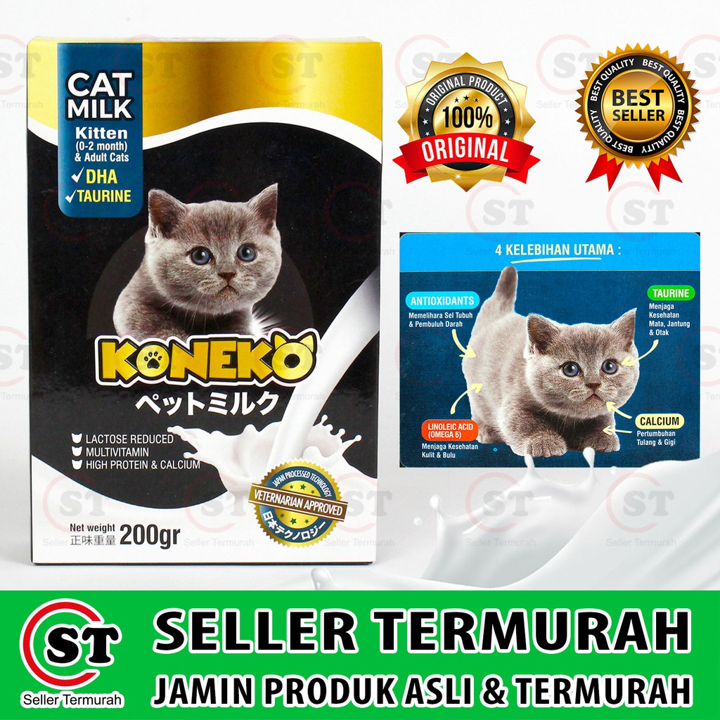 Detail Gigi Susu Kucing Nomer 43