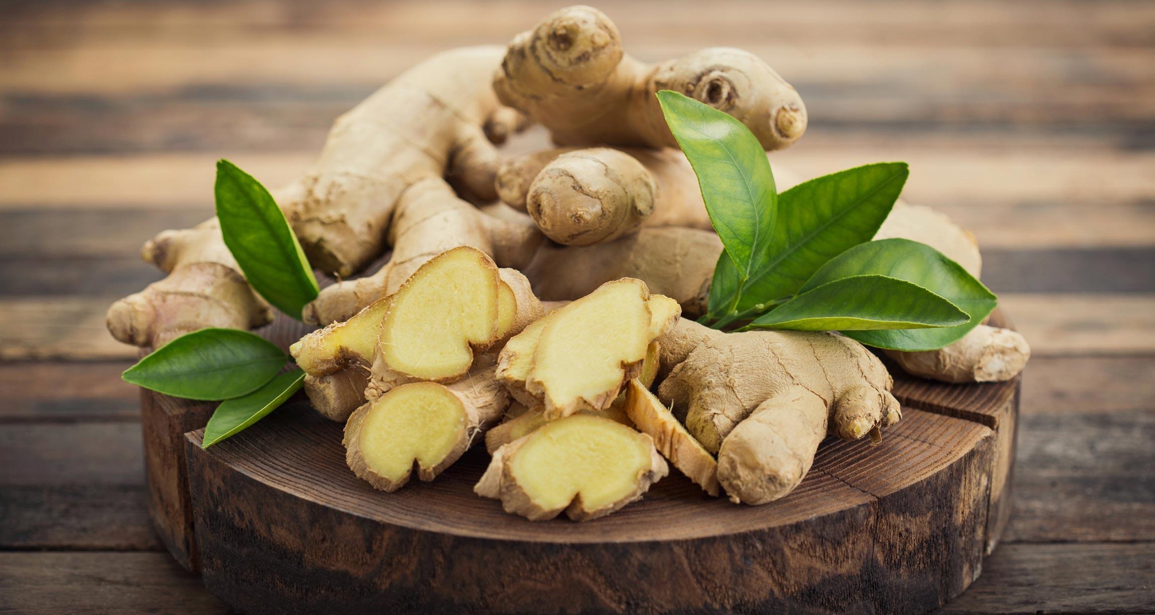 Detail Ginger Hd Nomer 3