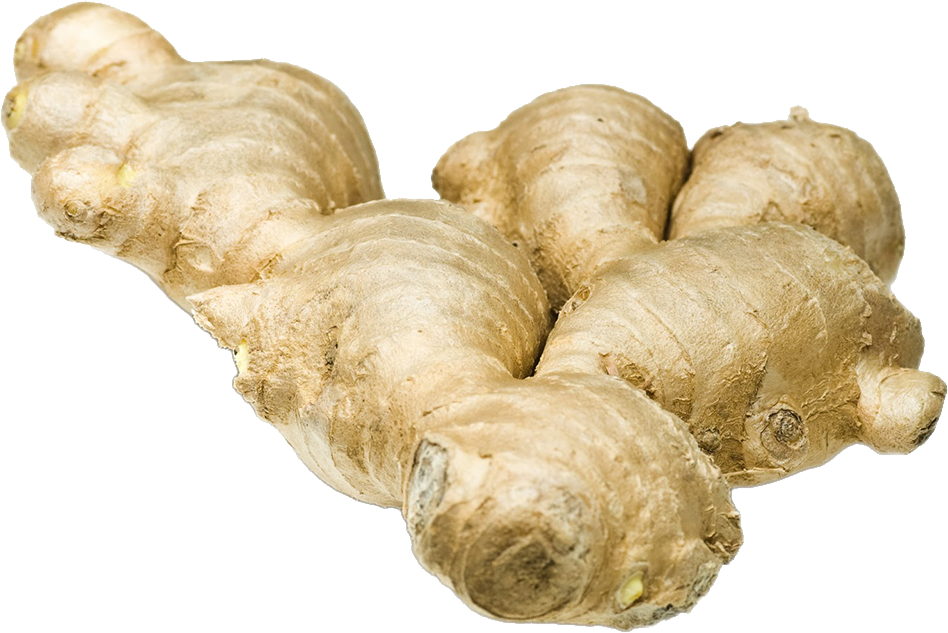 Detail Ginger Hd Nomer 23