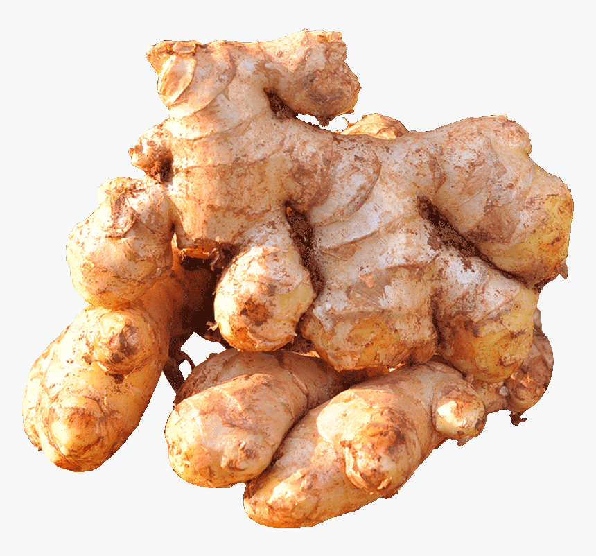 Detail Ginger Hd Nomer 25