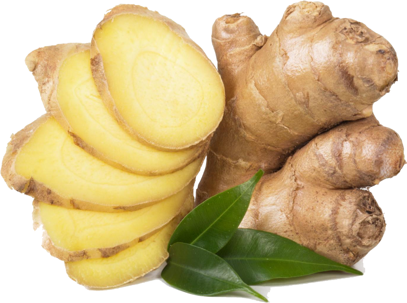 Detail Ginger Hd Nomer 30