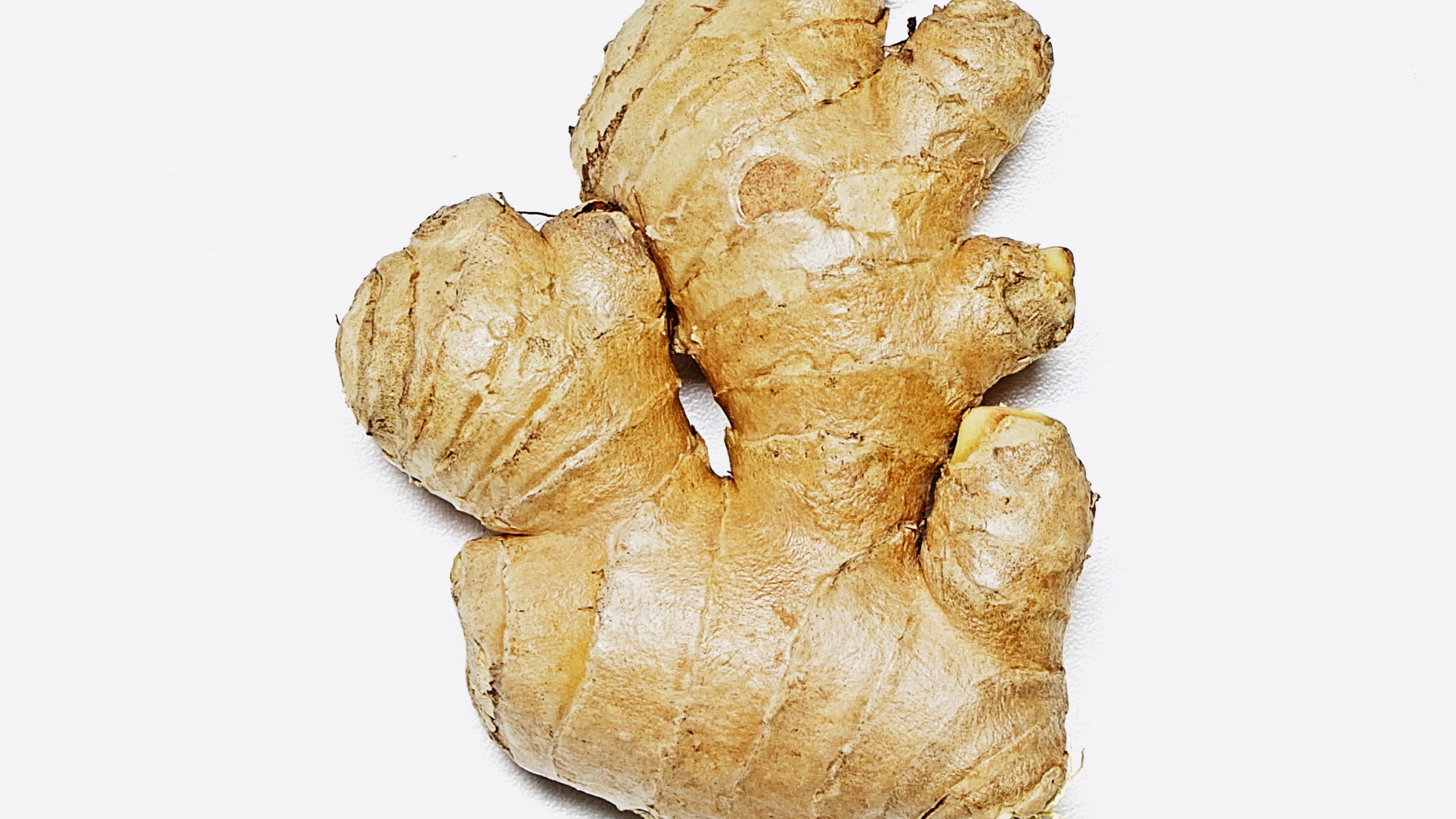 Detail Ginger Image Nomer 19