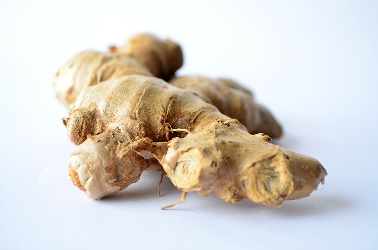 Detail Ginger Image Nomer 27
