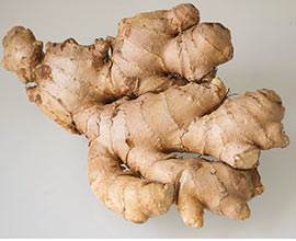 Detail Ginger Image Nomer 28