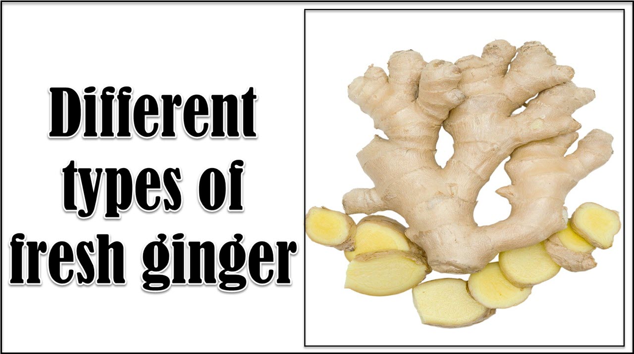 Detail Ginger Images Nomer 31