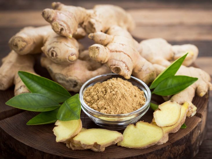 Detail Ginger Pic Nomer 6