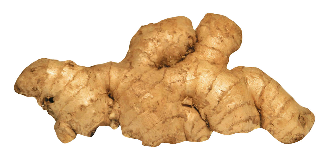 Detail Ginger Png Nomer 14