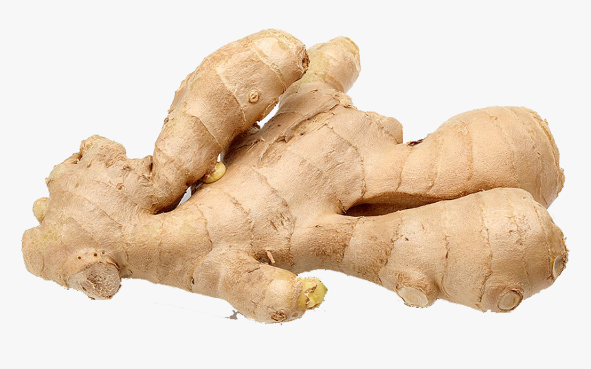 Detail Ginger Png Nomer 2