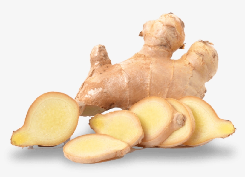 Detail Ginger Png Nomer 24