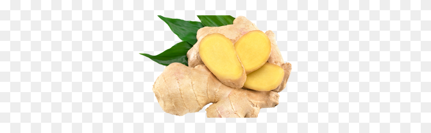 Detail Ginger Png Nomer 26