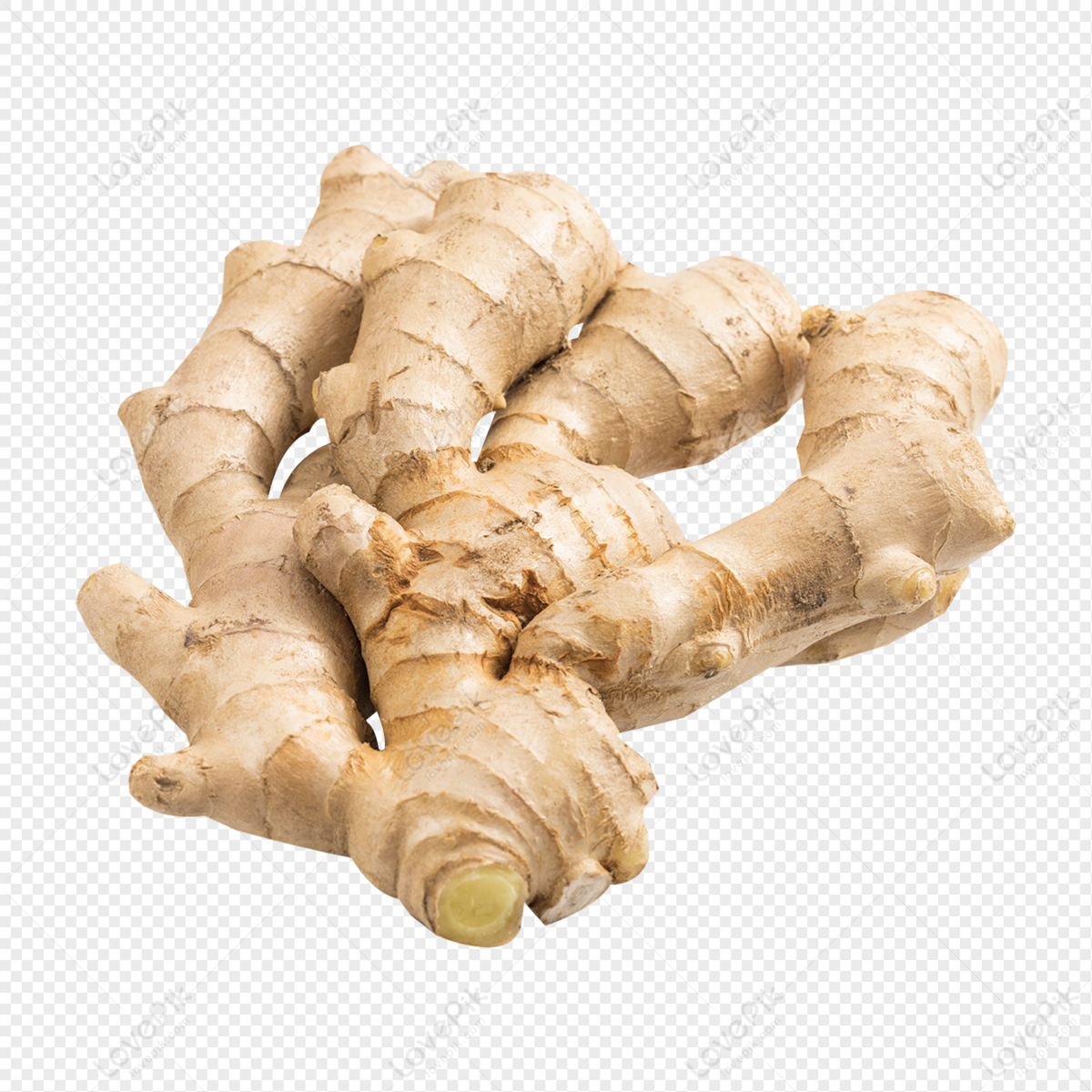 Detail Ginger Png Nomer 32