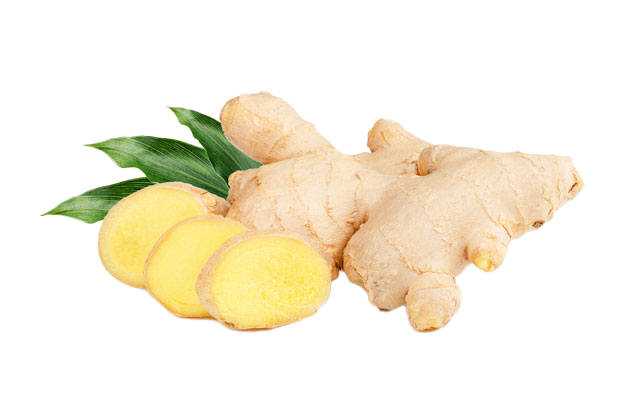 Detail Ginger Png Nomer 5