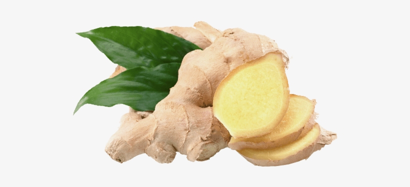 Detail Ginger Png Nomer 6