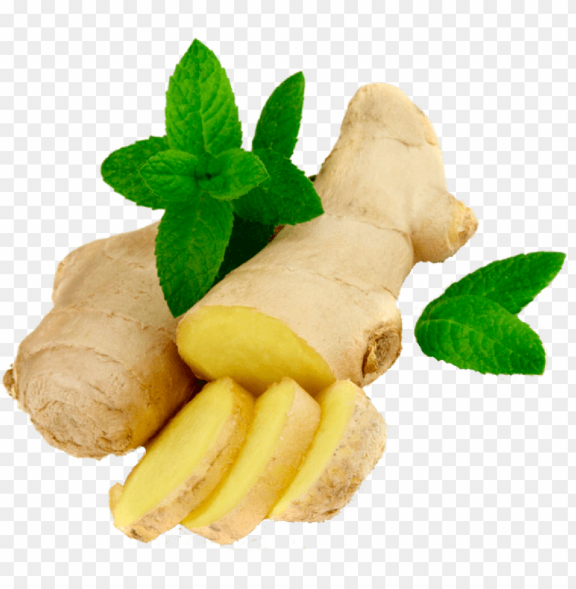 Detail Ginger Png Nomer 9