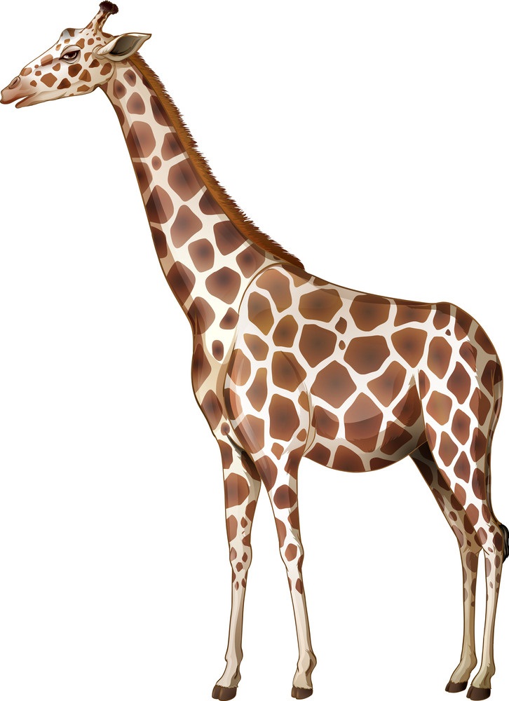 Detail Giraff Clipart Nomer 12