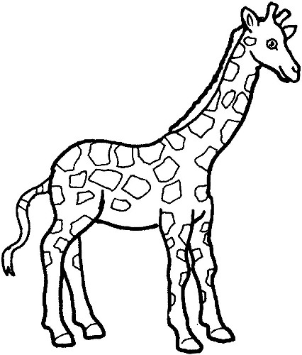 Detail Giraff Clipart Nomer 17